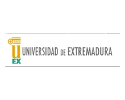 universidad
