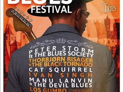 Suman Seguridad en Cáceres Blues Festival