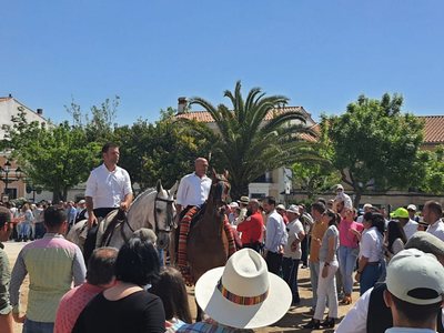 Día de la Luz 2022